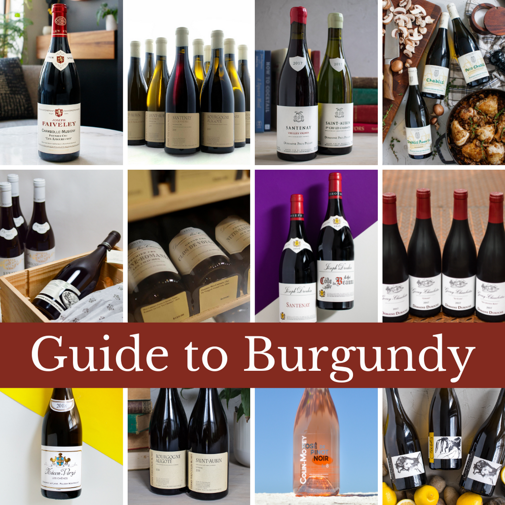 Flatiron's Complete Guide to Burgundy