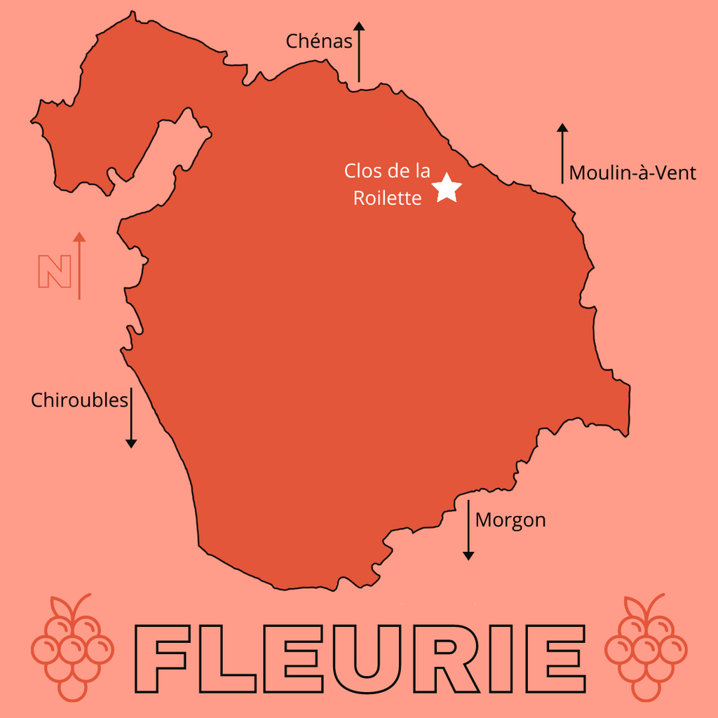 Cru Beaujolais: Focus on Fleurie