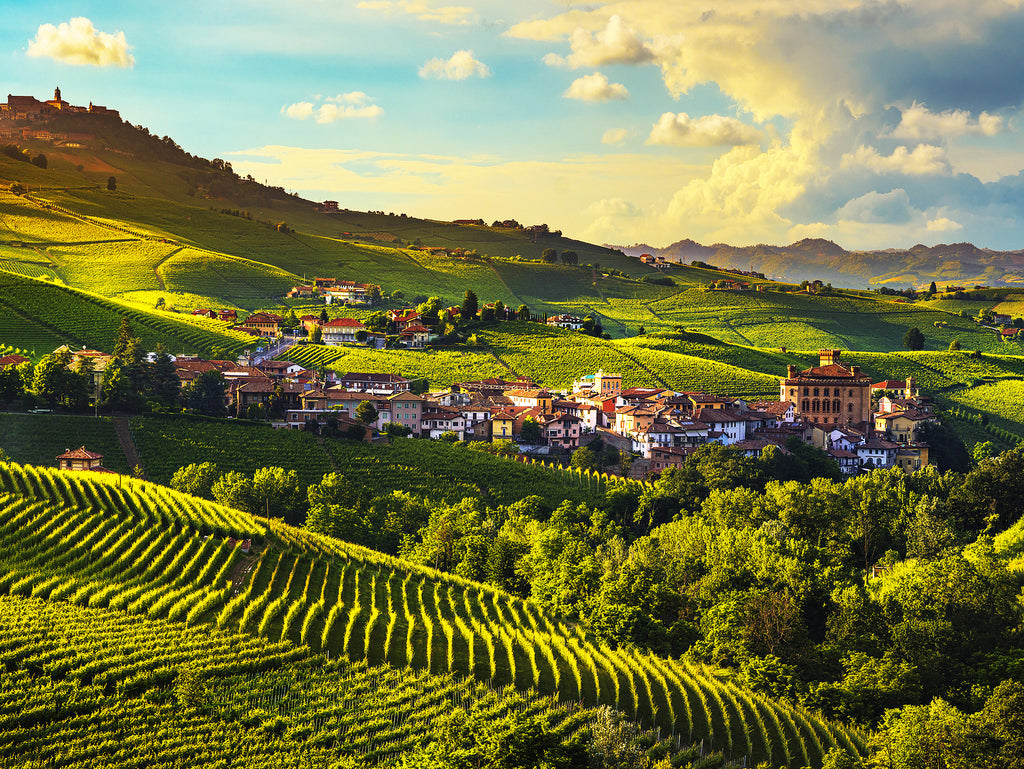 2018 Barolo Vintage: Challenging Vintage, Good Buying Opportunities