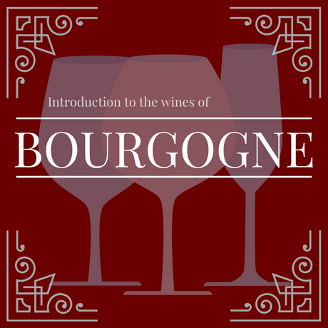 Introduction to the Wines of Burgundy