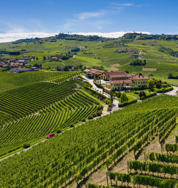 2017 Barolo Vintage: Impressive Wines to Enjoy Now