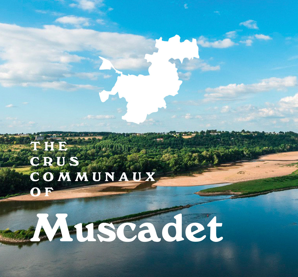 Flatiron’s Guide to the Crus Communaux of Muscadet