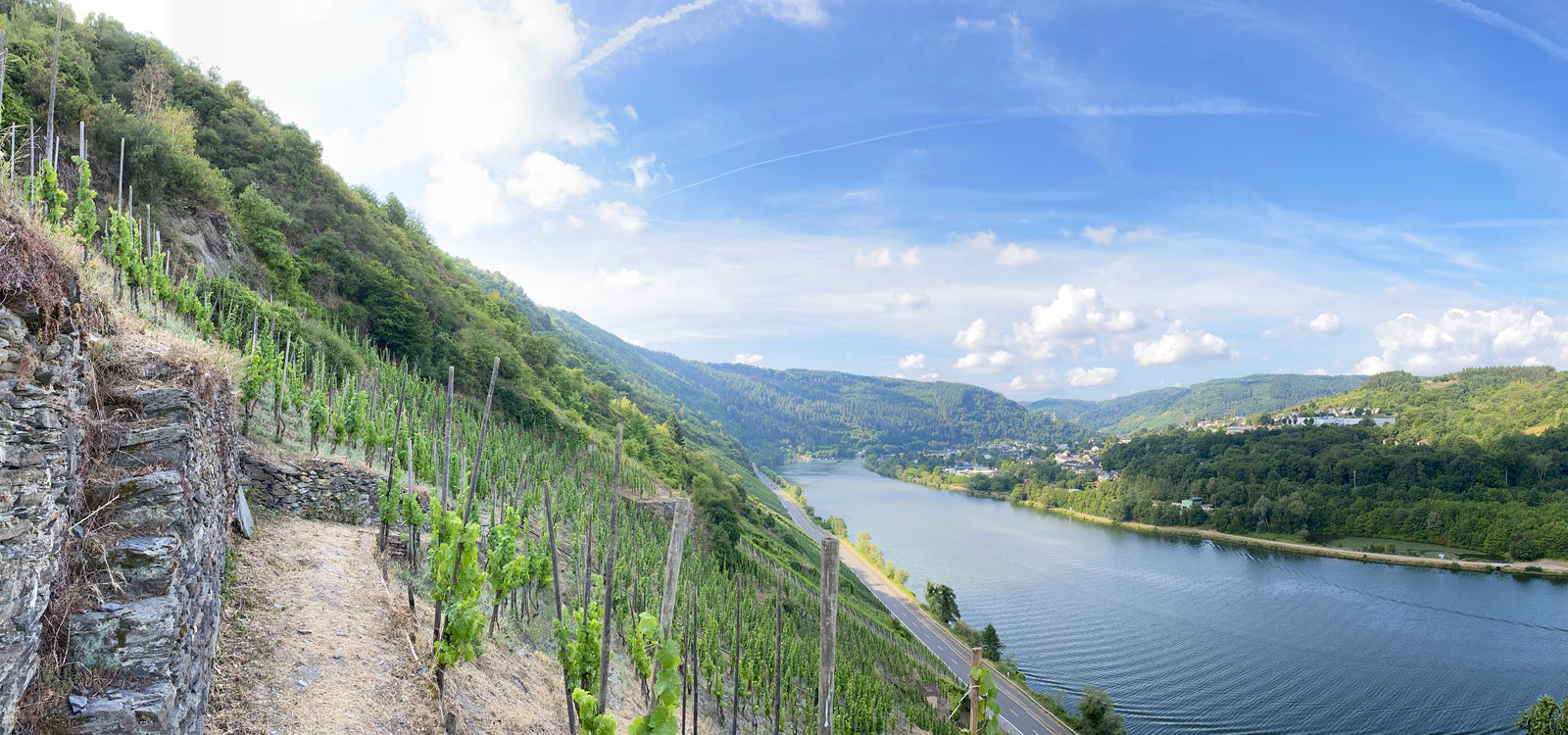 German Vintage Reports: 2021, 2020, 2019