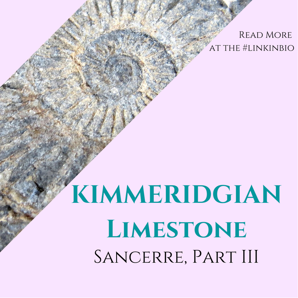 The Ultimate Guide to Sancerre, Part 3: Kimmeridgian Limestone