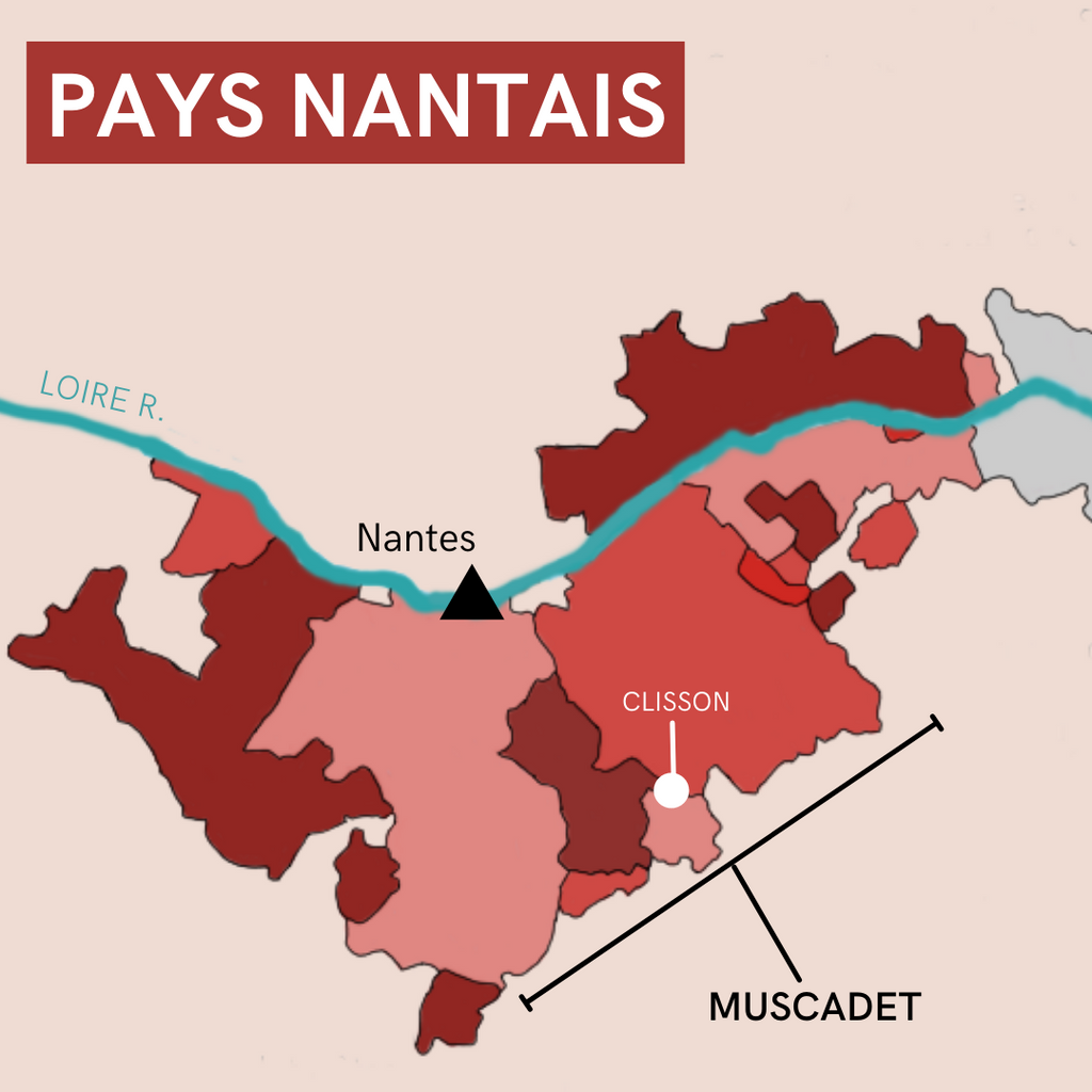 Guide to the Lower Loire: Muscadet and the Pays Nantais