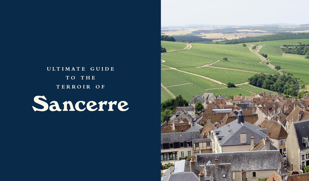 Ultimate Guide to the Terroir of Sancerre, Part One