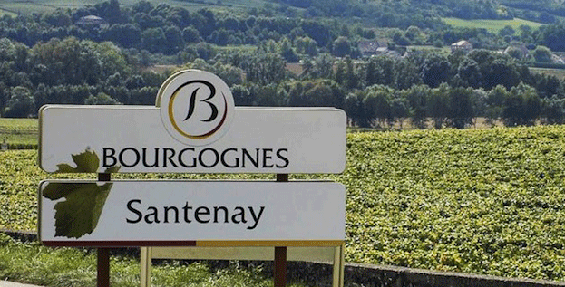 Edges of Burgundy: Santenay