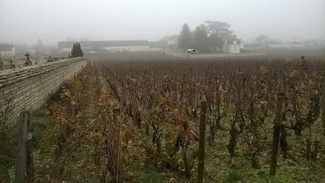 To Burgundy and Back Again: 2018 Hospices de Beaune