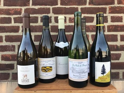 Sauvignon Blanc FAQ's