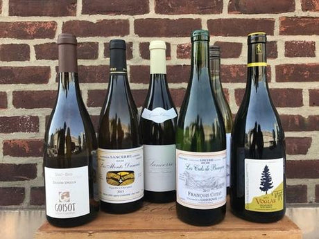 Sauvignon Blanc FAQ's