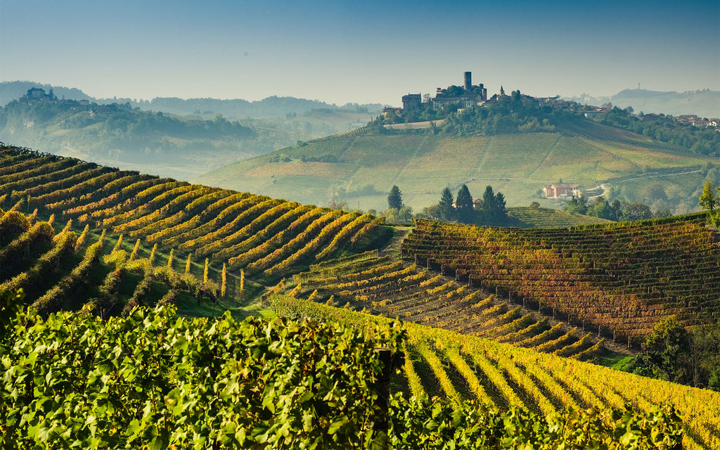 2013 Barolo Vintage: Impressive Wines that Demand Patience