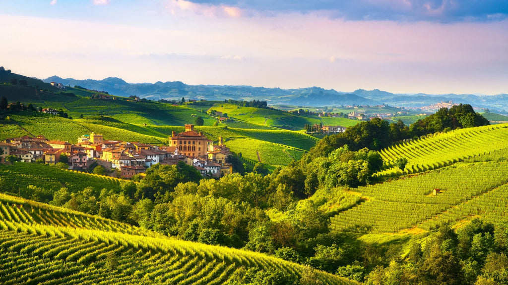 The Best Barolo Vintages: From 1961 to Today