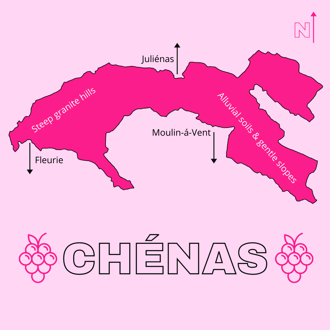 Cru Beaujolais: Focus on St. Amour and Chenas