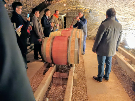 Trip to Burgundy for the Hospices de Beaune auction