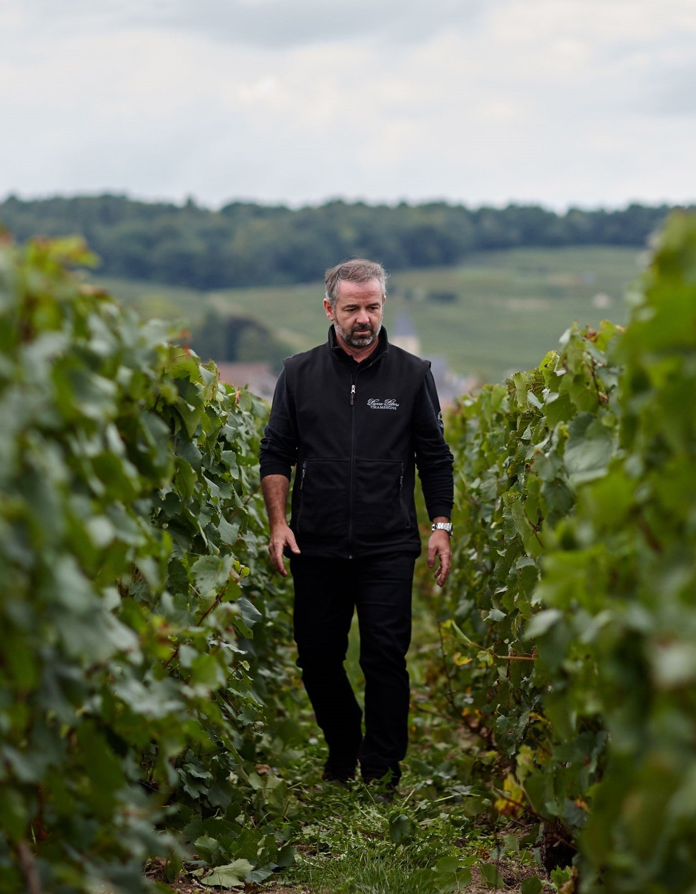 Champagne Pierre Péters