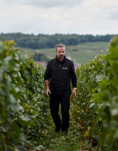 Champagne Pierre Péters