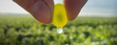 Champagne Pierre Gimonnet & Fils