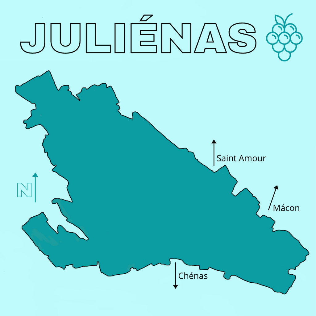 Cru Beaujolais: Focus on Julienas