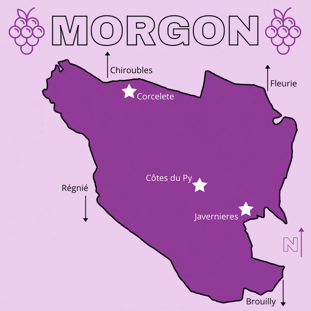 Cru Beaujolais: Focus on Morgon