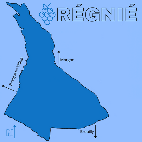 Cru Beaujolais: Focus on Régnié